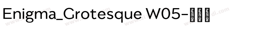 Enigma_Grotesque W05字体转换 Enigma_Grotesque W05字体转换